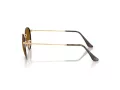 Ray-Ban Round Metal Lunettes de Soleil RB 3447 927533