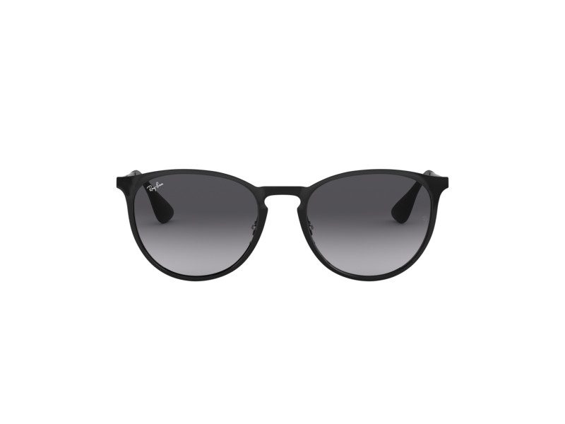 Ray-Ban Erika Metal Lunettes de Soleil RB 3539 002/8G