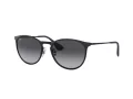Ray-Ban Erika Metal Lunettes de Soleil RB 3539 002/8G