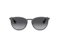 Ray-Ban Erika Metal Lunettes de Soleil RB 3539 192/8G