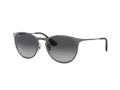 Ray-Ban Erika Metal Lunettes de Soleil RB 3539 192/8G