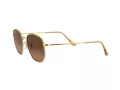 Ray-Ban Hexagonal Lunettes de Soleil 3548N 912443