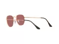 Ray-Ban Hexagonal Lunettes de Soleil RB 3548N 9202/AF