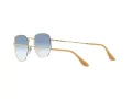 Ray-Ban Hexagonal Lunettes de Soleil RB 3548 001/3F