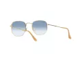 Ray-Ban Hexagonal Lunettes de Soleil RB 3548 001/3F