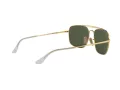 Ray-Ban The Colonel Lunettes de Soleil RB 3560 001