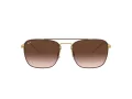 Ray-Ban Lunettes de Soleil RB 3588 9055/13