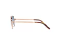 Ray-Ban New Caravan Lunettes de Soleil 3636 92023F