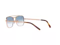 Ray-Ban New Caravan Lunettes de Soleil 3636 92023F