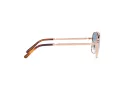 Ray-Ban New Caravan Lunettes de Soleil 3636 92023F