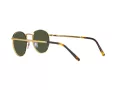 Ray-Ban New Round Lunettes de Soleil RB 3637 9196/31