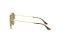 Ray-Ban Lunettes de Soleil RB 3647N 001/57