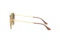 Ray-Ban Lunettes de Soleil RB 3647N 001/7O
