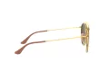 Ray-Ban Lunettes de Soleil RB 3647N 001/7O