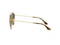 Ray-Ban Lunettes de Soleil 3647N 001