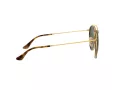 Ray-Ban Lunettes de Soleil 3647N 001