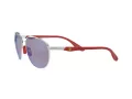 Ray-Ban Lunettes de Soleil RB 3659M F031/H0