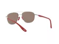 Ray-Ban Lunettes de Soleil RB 3659M F031/H0