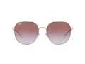 Ray-Ban Lunettes de Soleil RB 3680D 9202I8