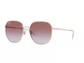 Ray-Ban Lunettes de Soleil RB 3680D 9202I8