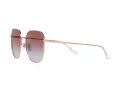 Ray-Ban Lunettes de Soleil RB 3680D 9202I8