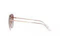 Ray-Ban Lunettes de Soleil RB 3680D 9202I8
