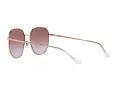 Ray-Ban Lunettes de Soleil RB 3680D 9202I8