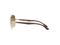 Ray-Ban Lunettes de Soleil RB 3683 001/51
