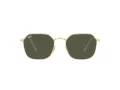 Ray-Ban Jim Lunettes de Soleil RB 3694 001/31