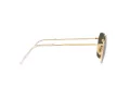 Ray-Ban Jim Lunettes de Soleil RB 3694 001/31