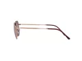 Ray-Ban Jim Lunettes de Soleil RB 3694 9202/G9