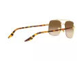 Ray-Ban Lunettes de Soleil RB 3699 001/51