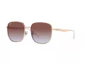 Ray-Ban Lunettes de Soleil RB 3713D 9202I8