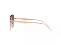 Ray-Ban Lunettes de Soleil RB 3713D 9202I8
