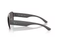 Ray-Ban Lunettes de Soleil RB 3756 004/B1