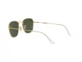 Ray-Ban Frank Lunettes de Soleil RB 3857 9196/31