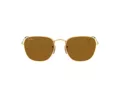 Ray-Ban Frank Lunettes de Soleil RB 3857 9196/33