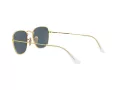 Ray-Ban Frank Lunettes de Soleil 3857 9196R5