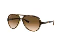 Ray-Ban Cats 5000 Lunettes de Soleil RB 4125 710/51