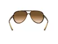 Ray-Ban Cats 5000 Lunettes de Soleil RB 4125 710/51