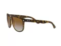 Ray-Ban Boyfriend Lunettes de Soleil RB 4147 710/51