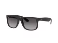 Ray-Ban Justin Lunettes de Soleil 4165 601/8G