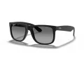 Ray-Ban Justin Lunettes de Soleil 4165 622/T3