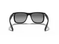 Ray-Ban Justin Lunettes de Soleil 4165 622/T3