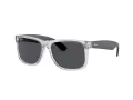 Ray-Ban Justin Lunettes de Soleil RB 4165 651287