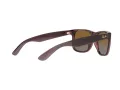 Ray-Ban Justin Lunettes de Soleil RB 4165 6597/T5