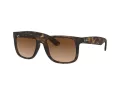 Ray-Ban Justin Lunettes de Soleil RB 4165 710/13