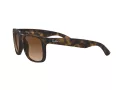 Ray-Ban Justin Lunettes de Soleil RB 4165 710/13