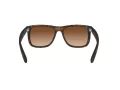Ray-Ban Justin Lunettes de Soleil RB 4165 710/13