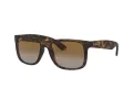 Ray-Ban Justin Lunettes de Soleil RB 4165 865/T5
